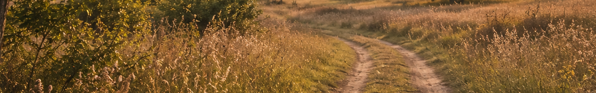 <span class="vcard">kasta</span>